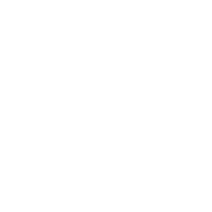 Wren - White Wren - White